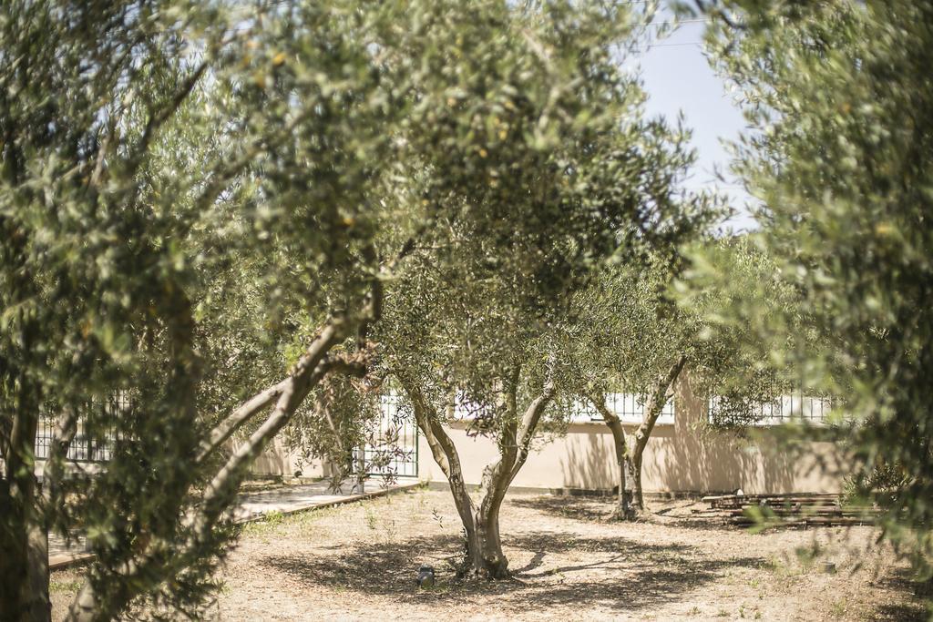 Olive Tree Apartments ฟูร์กา ภายนอก รูปภาพ