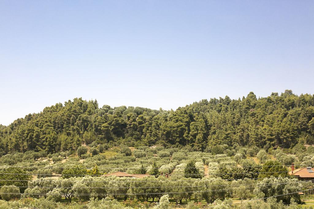 Olive Tree Apartments ฟูร์กา ภายนอก รูปภาพ
